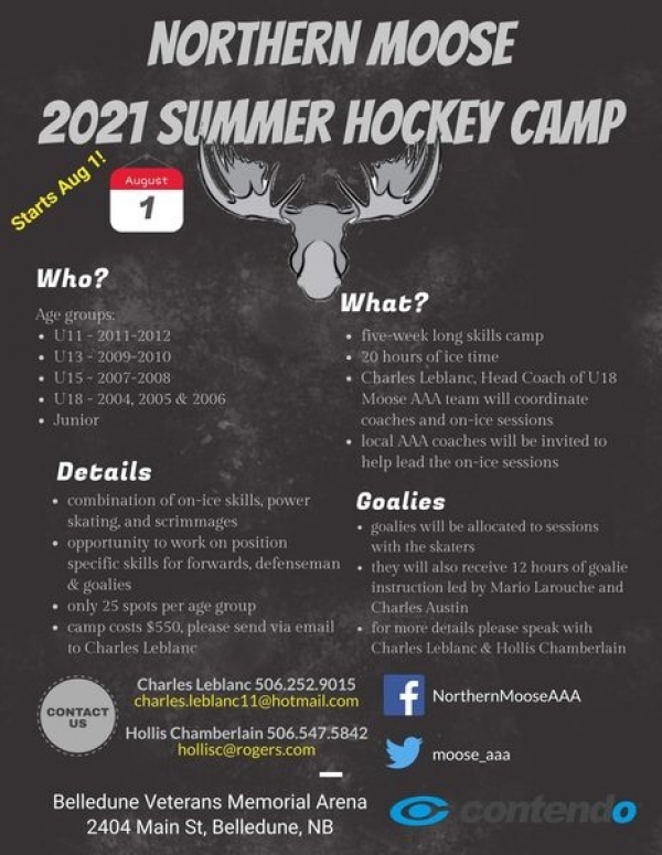 Northern Moose 2021 Summer Hockey Camp