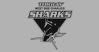 Torbay Sharks
