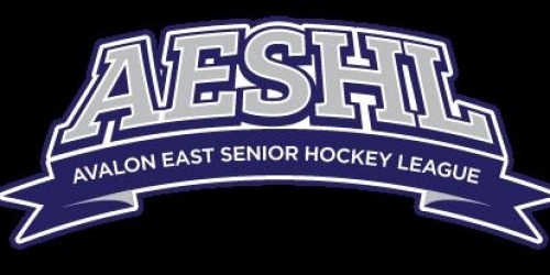 AESHL Games Suspended During Modified Level 4