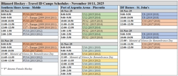Updated Schedule: Blizzard Travel Hockey ID Camps – Florida AND Europe!