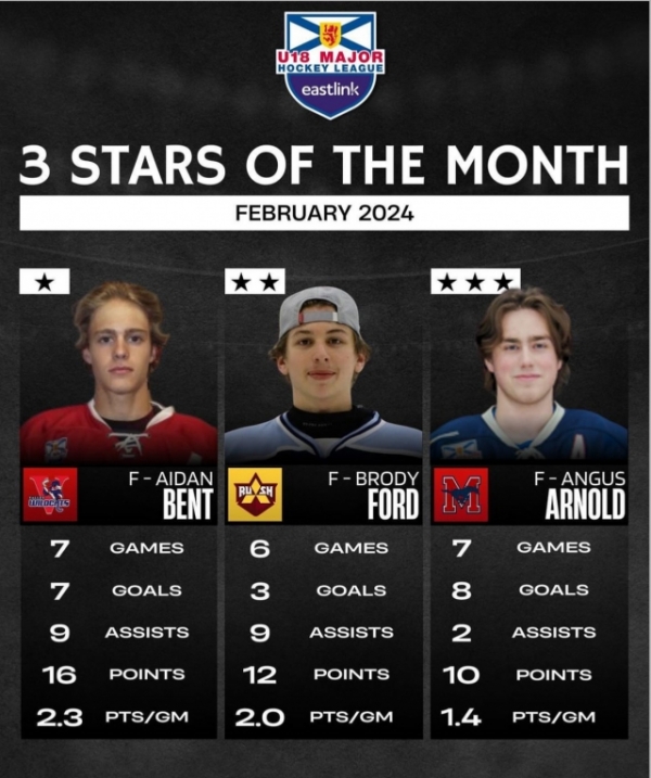 NSU18MHL February Three Stars of the Month