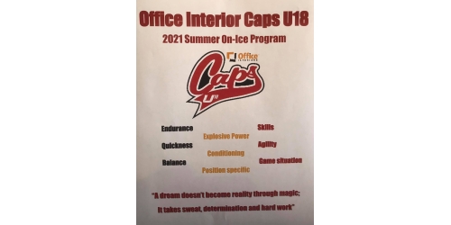 On-Ice Summer Sessions